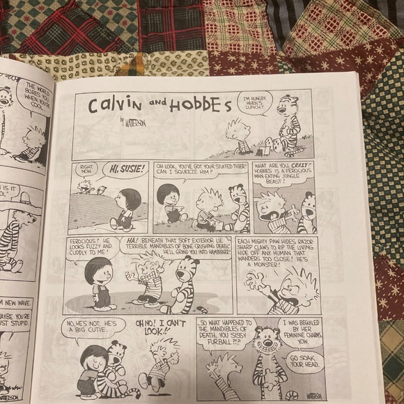 Calvin and Hobbes comic book collection - Picture 3 of 5